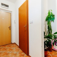 164_7168715538.jpg